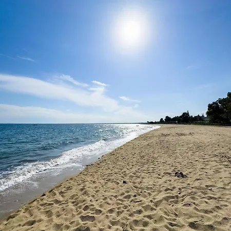 Belair #chalkidiki Lux App