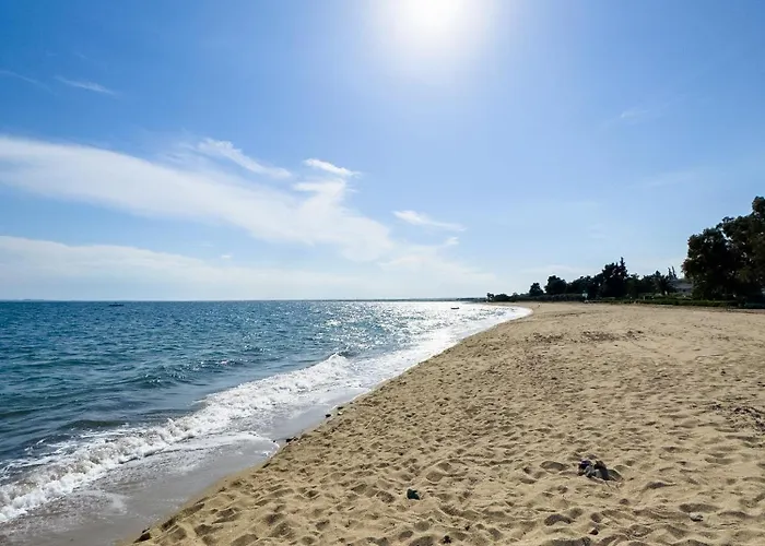 Luxury Family Near - Gerakini, Chalkidiki